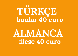 bunlar+40+euro-diese+40+euro.png