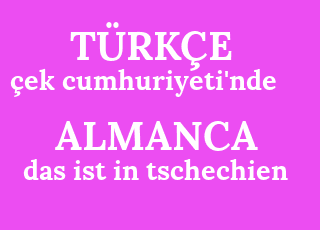 %C3%A7ek+cumhuriyeti%26%2339%3Bnde-das+ist+in+tschechien.png