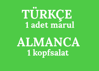 1+adet+marul-1+kopfsalat.png