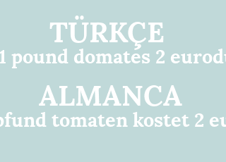 1+pound+domates+2+eurodur-1+pfund+tomaten+kostet+2+euro.png