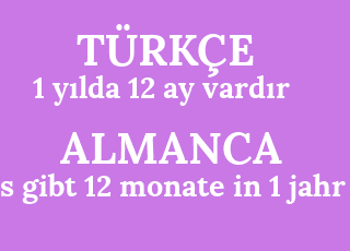 1+y%C4%B1lda+12+ay+vard%C4%B1r-es+gibt+12+monate+in+1+jahr.png