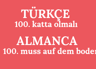 100.+katta+olmal%C4%B1-100.+muss+auf+dem+boden.png