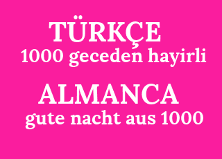 1000+geceden+hayirli-gute+nacht+aus+1000.png