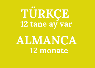 12+tane+ay+var-12+monate.png