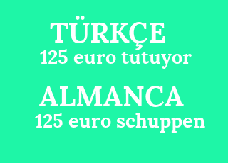 125+euro+tutuyor-125+euro+schuppen.png