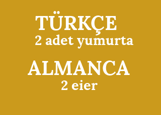 2+adet+yumurta-2+eier.png