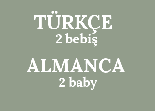2+bebi%C5%9F-2+baby.png