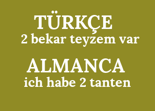 2+bekar+teyzem+var-ich+habe+2+tanten.png