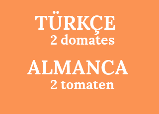 2+domates-2+tomaten.png