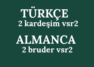 2+karde%C5%9Fim+vsr2-2+bruder+vsr2.png