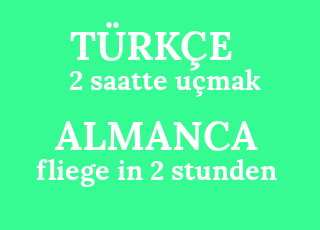 2+saatte+u%C3%A7mak-fliege+in+2+stunden.png
