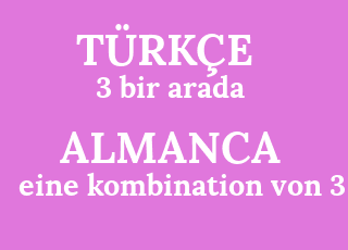 3+bir+arada-eine+kombination+von+3.png