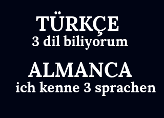 3+dil+biliyorum-ich+kenne+3+sprachen.png