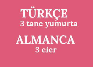 3+tane+yumurta-3+eier.png