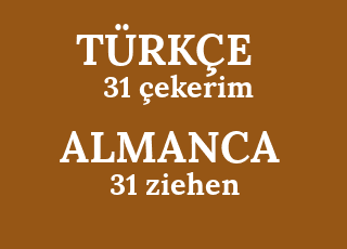 31+%C3%A7ekerim-31+ziehen.png