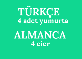 4+adet+yumurta-4+eier.png