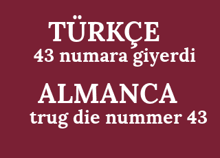 43+numara+giyerdi-trug+die+nummer+43.png