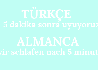 5+dakika+sonra+uyuyoruz-wir+schlafen+nach+5+minuten.png