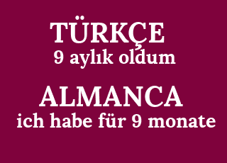 9+ayl%C4%B1k+oldum-ich+habe+f%C3%BCr+9+monate.png