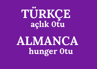 a%C3%A7l%C4%B1k+0tu-hunger+0tu.png