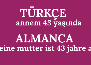 annem+43+ya%C5%9F%C4%B1nda-meine+mutter+ist+43+jahre+alt.png