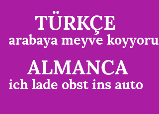 arabaya+meyve+koyyorum-ich+lade+obst+ins+auto.png