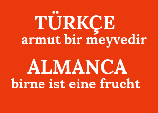 armut+bir+meyvedir-birne+ist+eine+frucht.png