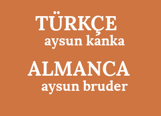 aysun+kanka-aysun+bruder.png