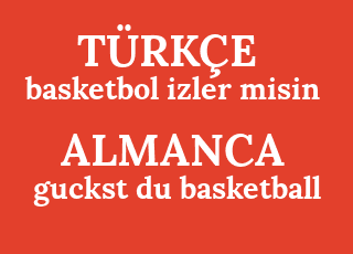 basketbol+izler+misin-guckst+du+basketball.png