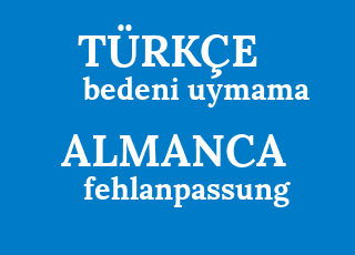 bedeni+uymama-fehlanpassung.png