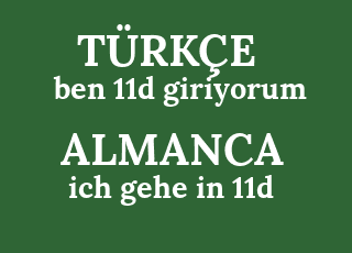 ben+11d+giriyorum-ich+gehe+in+11d.png