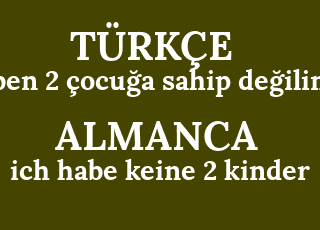 ben+2+%C3%A7ocu%C4%9Fa+sahip+de%C4%9Filim-ich+habe+keine+2+kinder.png