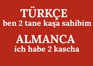 ben+2+tane+ka%C5%9Fa+sahibim-ich+habe+2+kascha.png