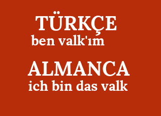 ben+valk%26%2339%3B%C4%B1m-ich+bin+das+valk.png