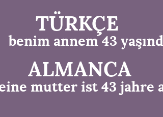 benim+annem+43+ya%C5%9F%C4%B1nda-meine+mutter+ist+43+jahre+alt.png