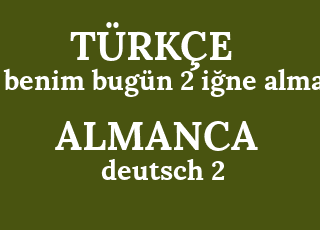 benim+bug%C3%BCn+2+i%C4%9Fne+alman-deutsch+2-nadel+mich+heute.png