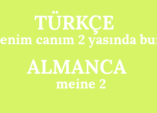 benim+can%C4%B1m+2+yas%C4%B1nda+burda-meine+2-j%C3%A4hrige+hier.png