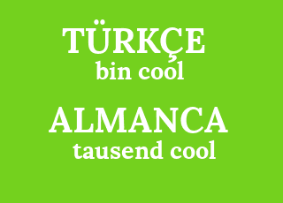 bin+cool-tausend+cool.png