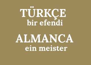 bir+efendi-ein+meister.png