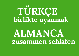 birlikte+uyanmak-zusammen+schlafen.png