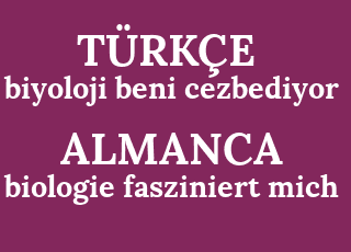 biyoloji+beni+cezbediyor-biologie+fasziniert+mich.png