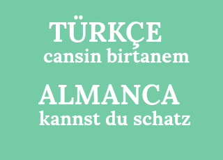 cansin+birtanem-kannst+du+schatz.png