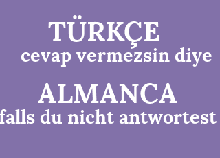 cevap+vermezsin+diye-falls+du+nicht+antwortest.png