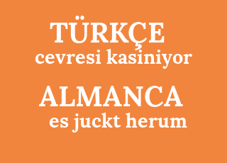 cevresi+kasiniyor-es+juckt+herum.png