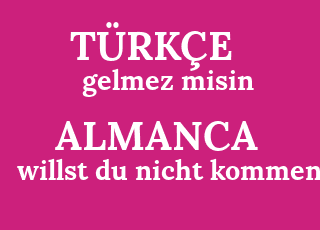 gelmez+misin-willst+du+nicht+kommen.png