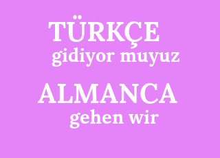 gidiyor+muyuz-gehen+wir.png