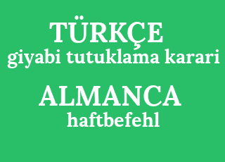 giyabi+tutuklama+karari-haftbefehl.png