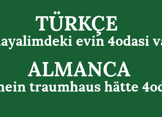 hayalimdeki+evin+4odasi+var-mein+traumhaus+h%C3%A4tte+4odasi.png