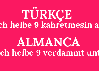 ich+heibe+9+kahretmesin+alt-ich+heibe+9+verdammt+unten.png