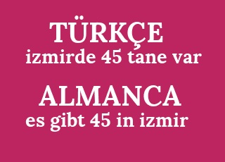 izmirde+45+tane+var-es+gibt+45+in+izmir.png